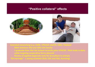 Sustainability and challenges of ecohealth approaches for the management of brucellosis in Yunnan Province, China