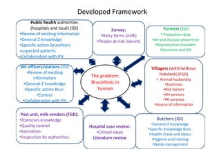 Sustainability and challenges of ecohealth approaches for the management of brucellosis in Yunnan Province, China