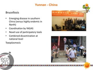 EcoHealth in action in Southeast Asia: Results and experiences from six transdisciplinary research teams and two EcoHealth Resource Centres