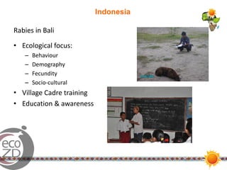 EcoHealth in action in Southeast Asia: Results and experiences from six transdisciplinary research teams and two EcoHealth Resource Centres