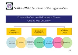EcoZD and other EcoHealth/One Health initiatives in Southeast Asia: Lessons and perspectives