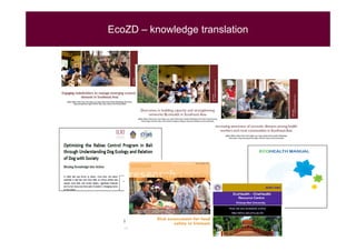 EcoZD and other EcoHealth/One Health initiatives in Southeast Asia: Lessons and perspectives