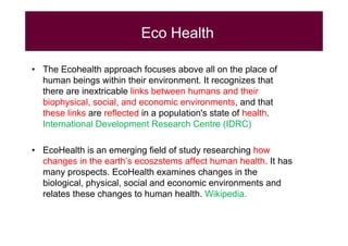 EcoZD and other EcoHealth/One Health initiatives in Southeast Asia: Lessons and perspectives