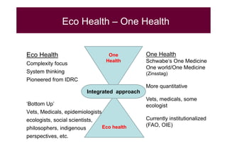 EcoZD and other EcoHealth/One Health initiatives in Southeast Asia: Lessons and perspectives