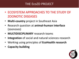 Integration of quantitative and qualitative research: Observations from a multi-country ecohealth study