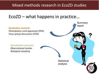 Integration of quantitative and qualitative research: Observations from a multi-country ecohealth study