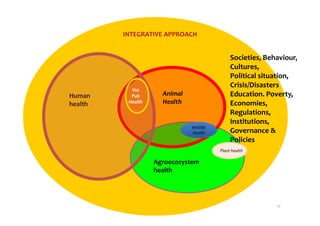 EcoHealth–One Health capacity building at Chiang Mai University and in the region: Experiences and challenges