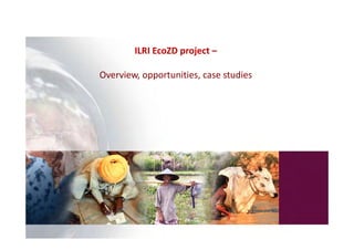 EcoHealth–One Health capacity building at Chiang Mai University and in the region: Experiences and challenges