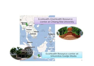 EcoHealth–One Health capacity building at Chiang Mai University and in the region: Experiences and challenges