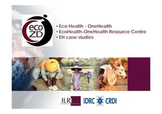 EcoHealth–One Health capacity building at Chiang Mai University and in the region: Experiences and challenges