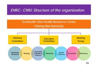 EcoHealth–One Health capacity building at Chiang Mai University and in the region: Experiences and challenges