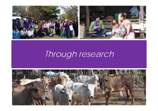 EcoHealth–One Health capacity building at Chiang Mai University and in the region: Experiences and challenges