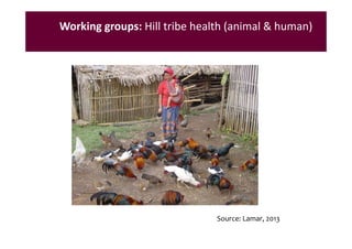 EcoHealth–One Health capacity building at Chiang Mai University and in the region: Experiences and challenges