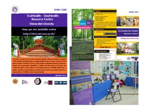 EcoHealth–One Health capacity building at Chiang Mai University and in the region: Experiences and challenges
