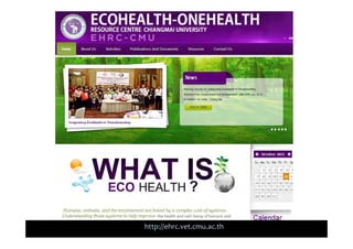 EcoHealth–One Health capacity building at Chiang Mai University and in the region: Experiences and challenges