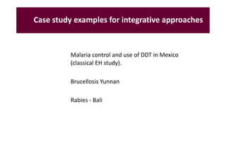 EcoHealth–One Health capacity building at Chiang Mai University and in the region: Experiences and challenges