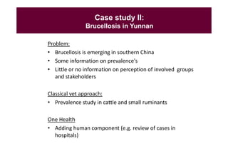 EcoHealth–One Health capacity building at Chiang Mai University and in the region: Experiences and challenges