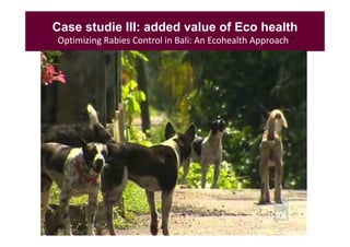 EcoHealth–One Health capacity building at Chiang Mai University and in the region: Experiences and challenges