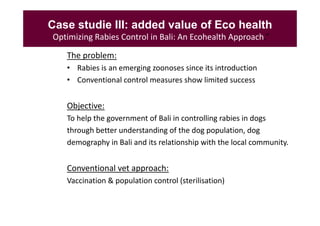 EcoHealth–One Health capacity building at Chiang Mai University and in the region: Experiences and challenges