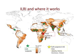 EcoHealth–One Health capacity building at Chiang Mai University and in the region: Experiences and challenges