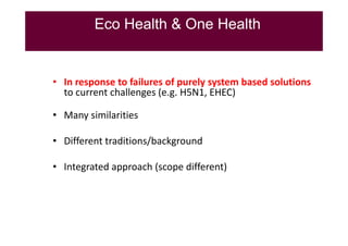 EcoHealth–One Health capacity building at Chiang Mai University and in the region: Experiences and challenges