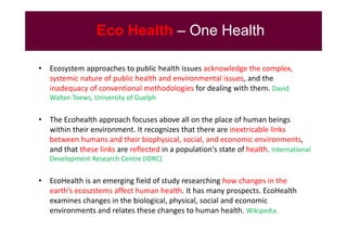 EcoHealth–One Health capacity building at Chiang Mai University and in the region: Experiences and challenges