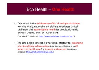 EcoHealth–One Health capacity building at Chiang Mai University and in the region: Experiences and challenges