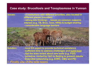 EcoHealth and One Health capacity building in Southeast Asia: An overview with focus on ILRI’s work