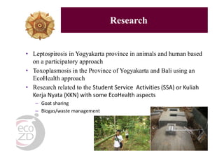 EcoHealth-One Health resource centres in Thailand and Indonesia: Establishment, success and perspective