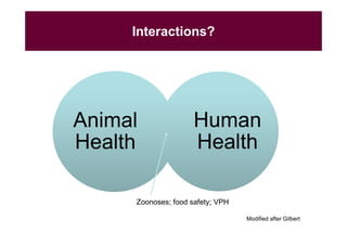 EcoHealth and One Health