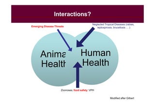 EcoHealth and One Health