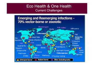 EcoHealth and One Health
