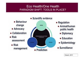 EcoHealth and One Health