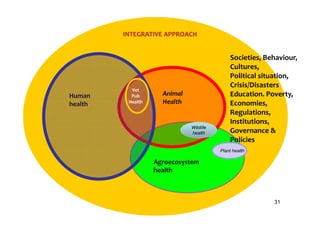 EcoHealth and One Health