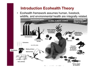 EcoHealth and One Health