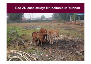 EcoHealth and One Health