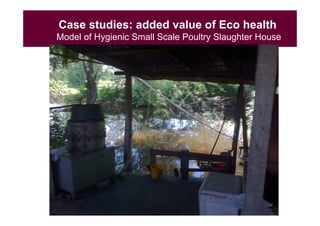 EcoHealth and One Health