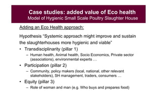 EcoHealth and One Health