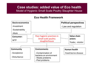 EcoHealth and One Health