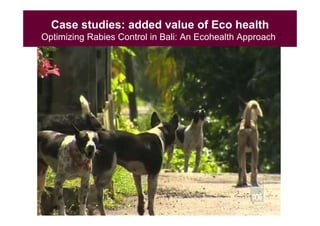 EcoHealth and One Health