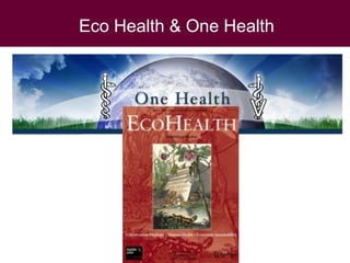 Ecohealth perspectives: From Ecohealth theory to practice (case studies)