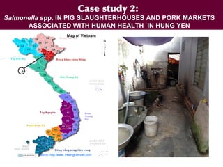 Ecohealth perspectives: From Ecohealth theory to practice (case studies)