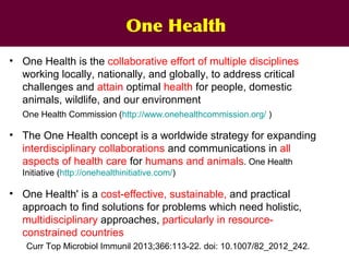 Ecohealth perspectives: From Ecohealth theory to practice (case studies)