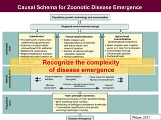 Ecohealth perspectives: From Ecohealth theory to practice (case studies)