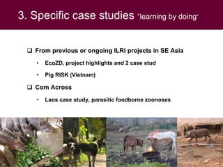 Ecohealth and One Health research in Southeast Asia: Examples, challenges, successes and outlook