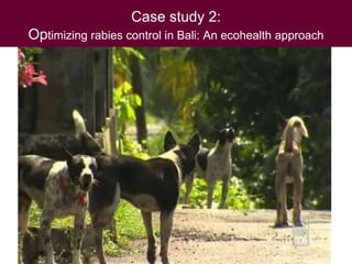 Ecohealth and One Health research in Southeast Asia: Examples, challenges, successes and outlook