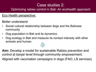 Ecohealth and One Health research in Southeast Asia: Examples, challenges, successes and outlook