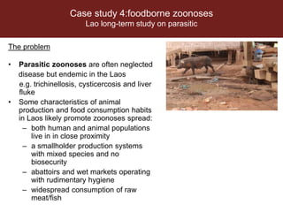 Ecohealth and One Health research in Southeast Asia: Examples, challenges, successes and outlook