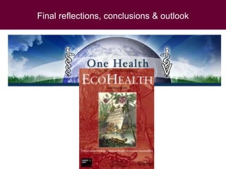 Ecohealth and One Health research in Southeast Asia: Examples, challenges, successes and outlook
