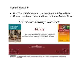 Ecohealth and One Health research in Southeast Asia: Examples, challenges, successes and outlook